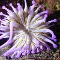 P1000992