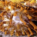 P1010027
