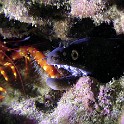 P1010146