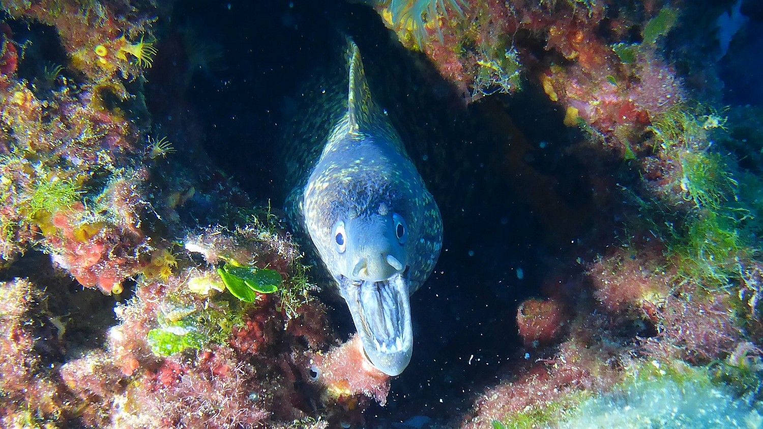 P1020349