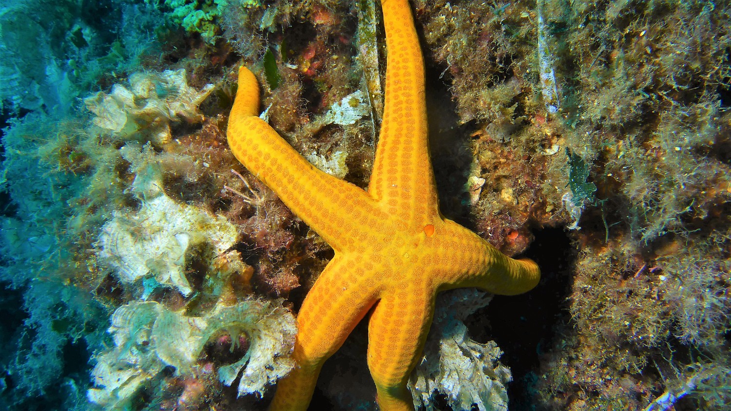 P1020403