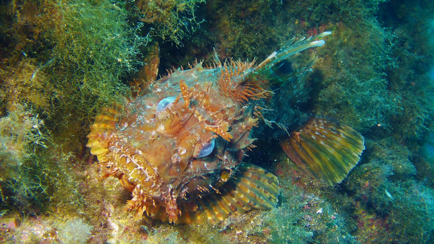P1020449