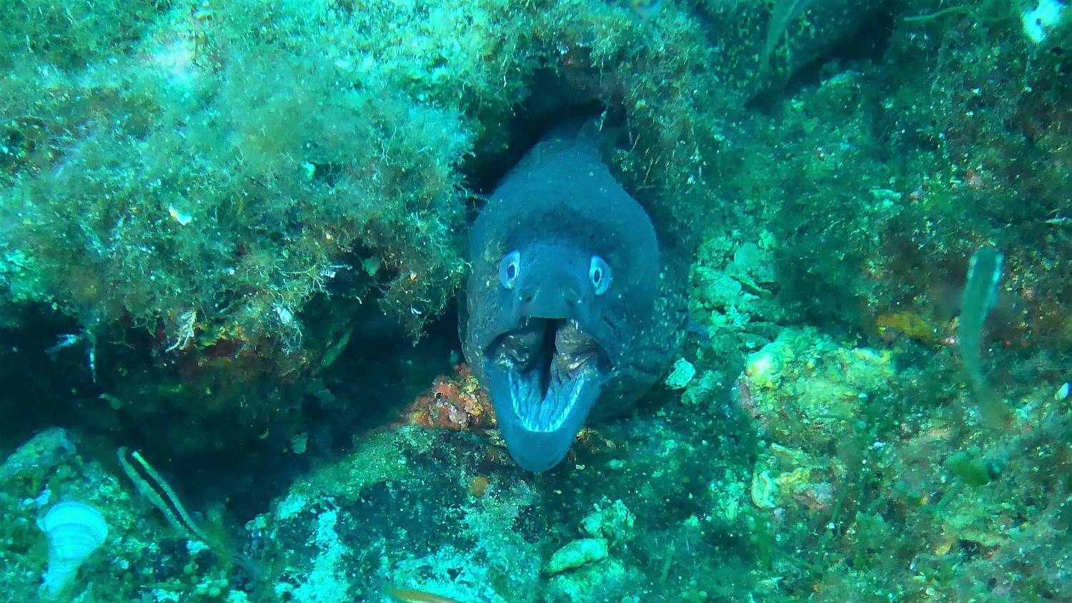 P1020450