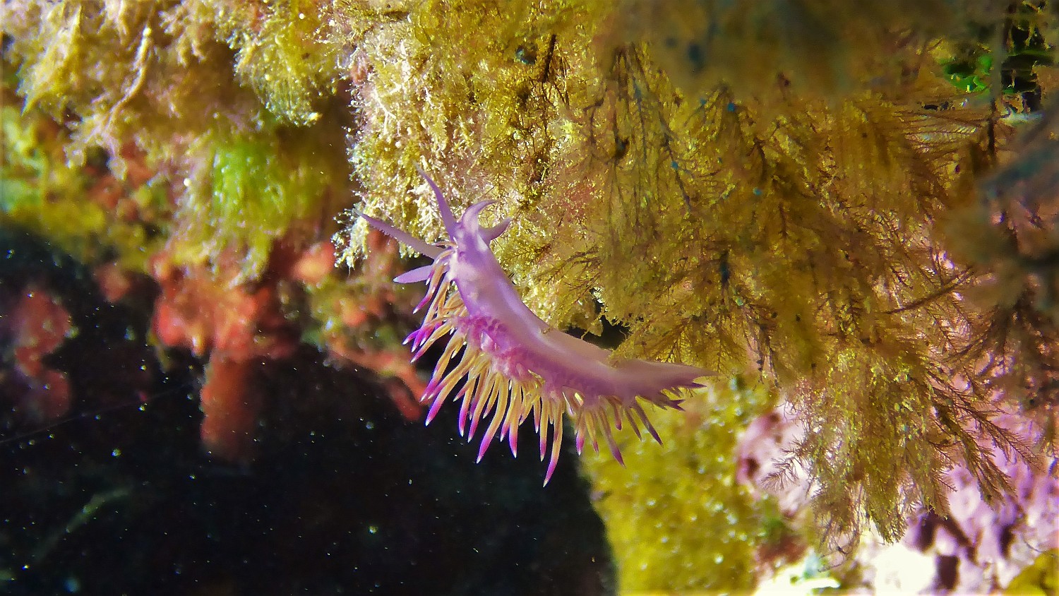 P1020463