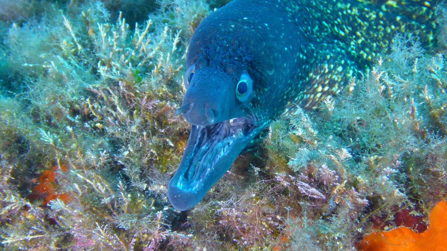 P1020468