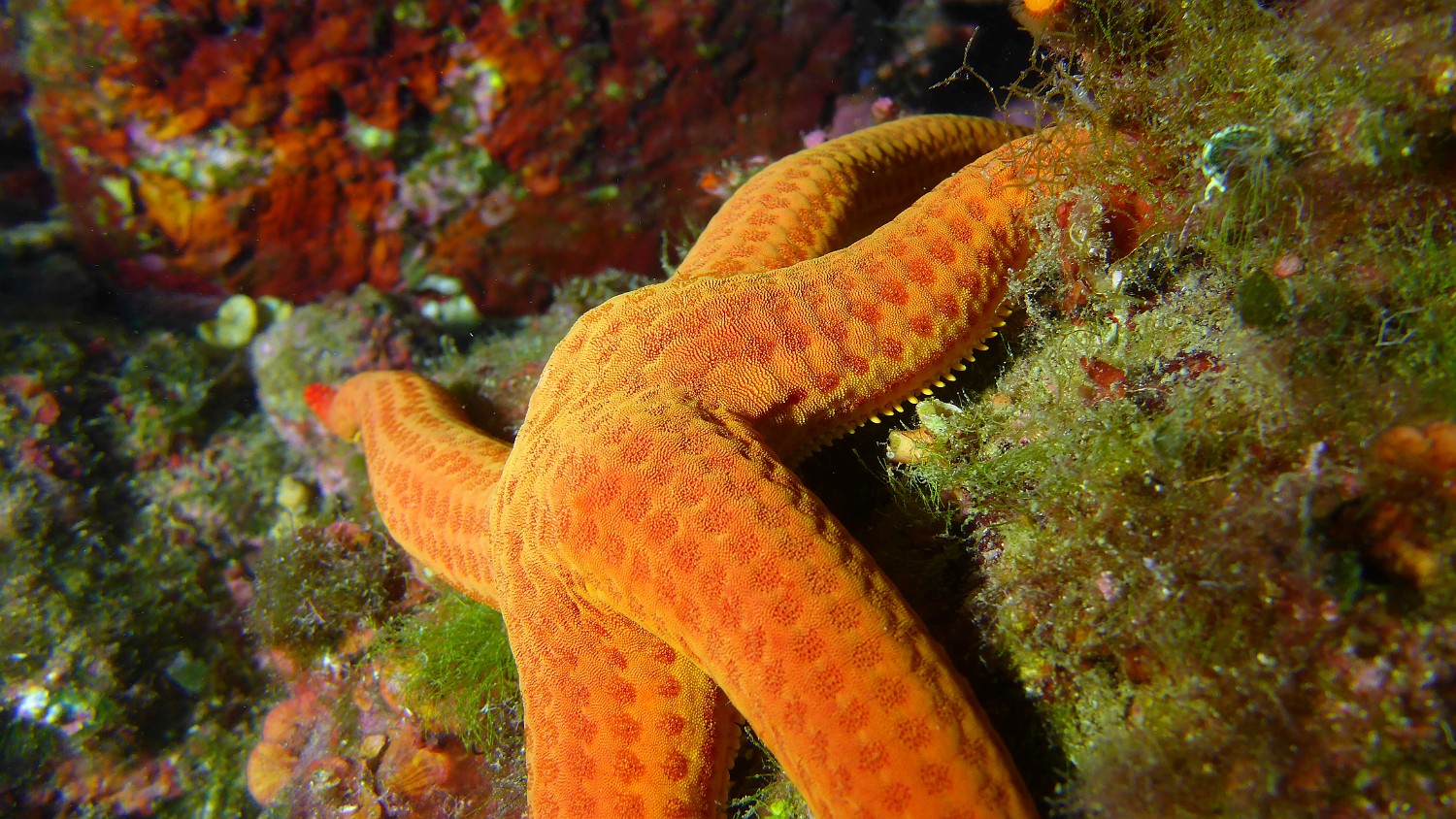 P1020471