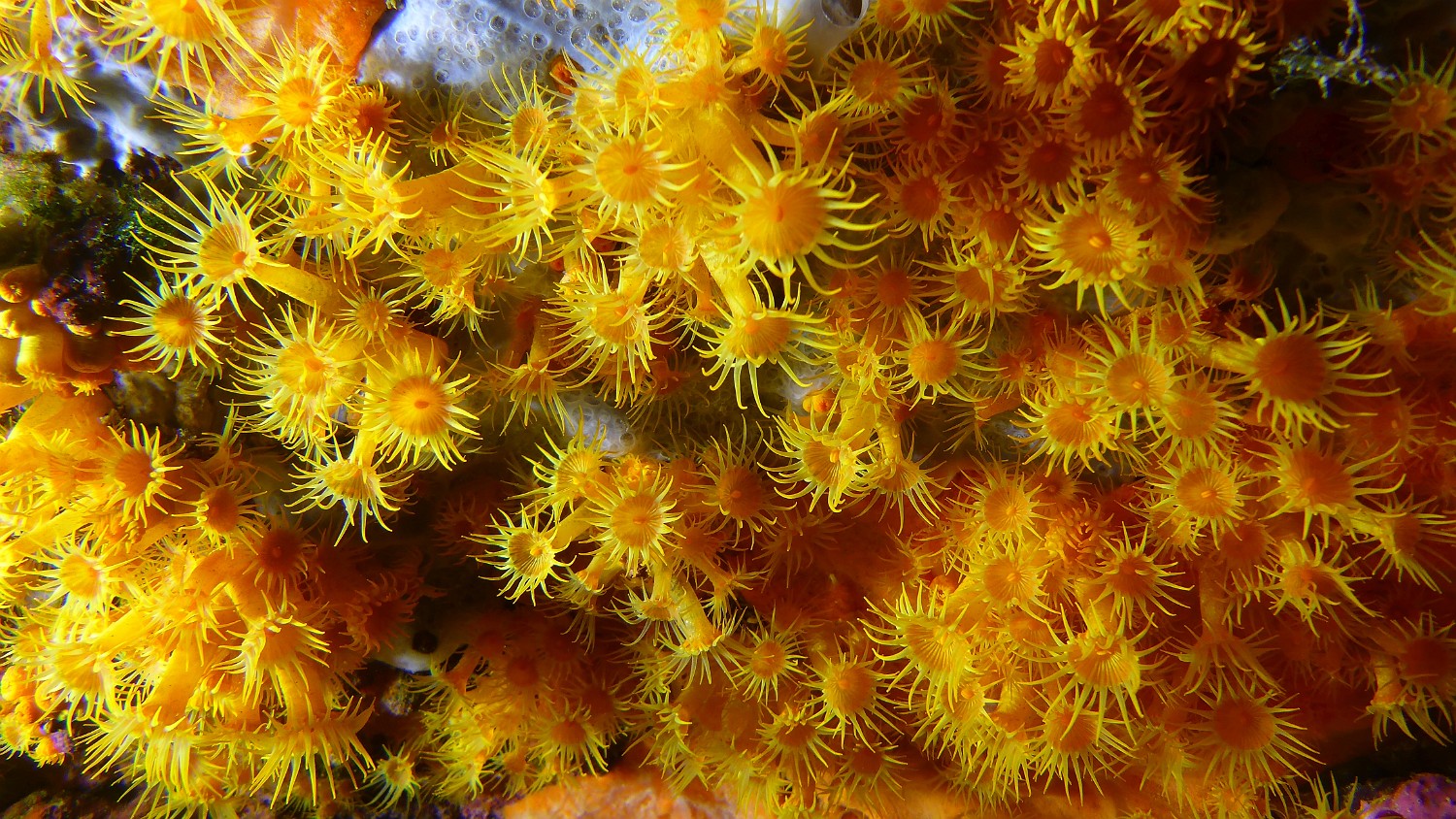 P1020477