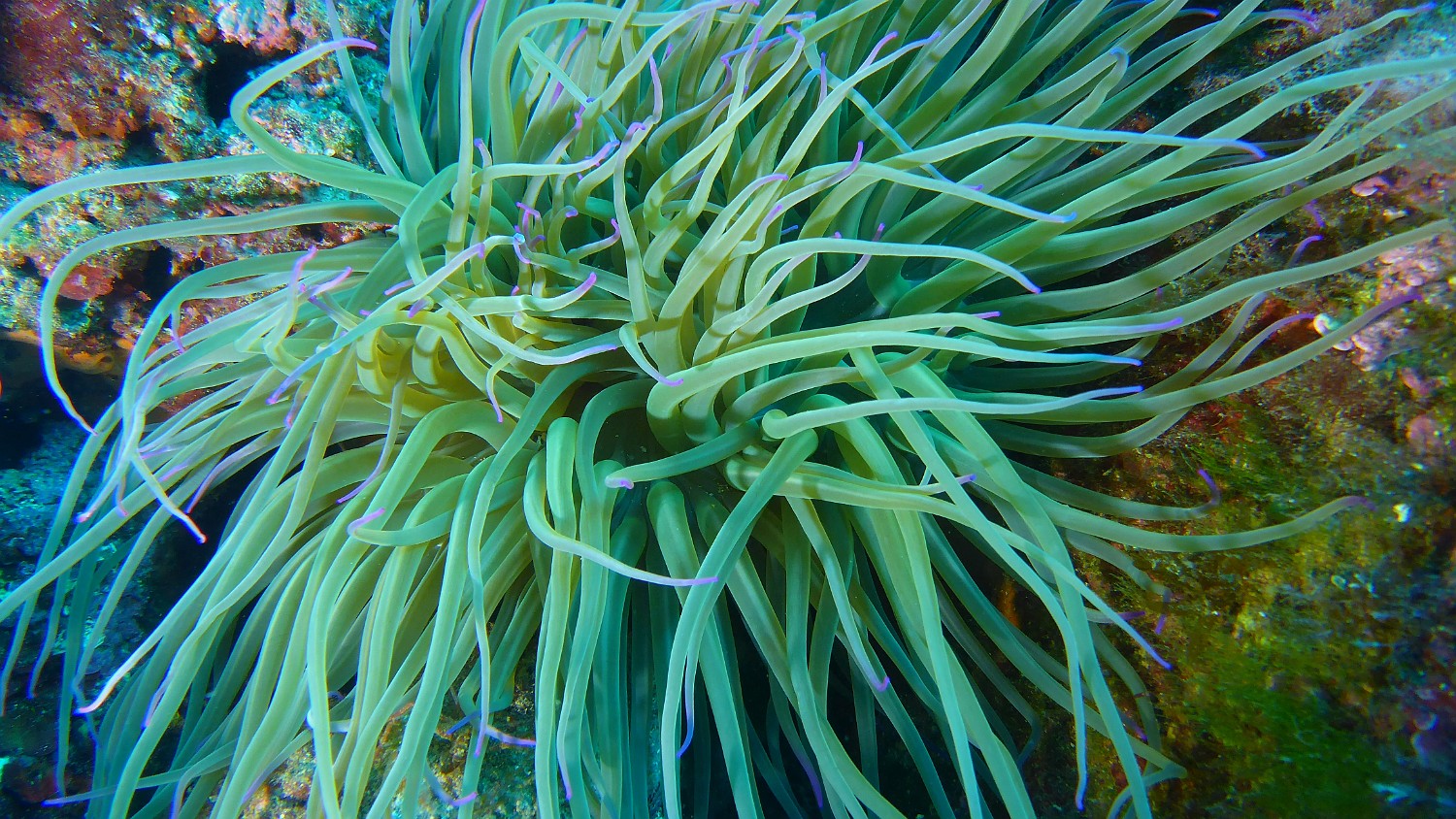 P1020482