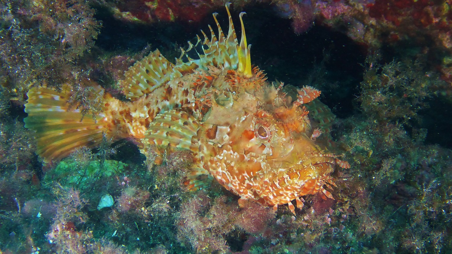P1020541
