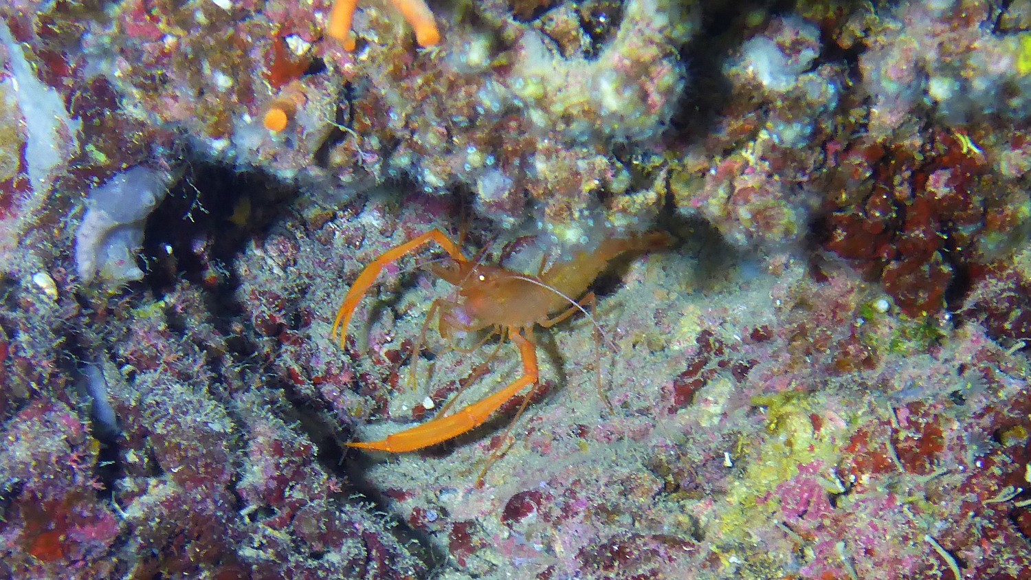 P1020549