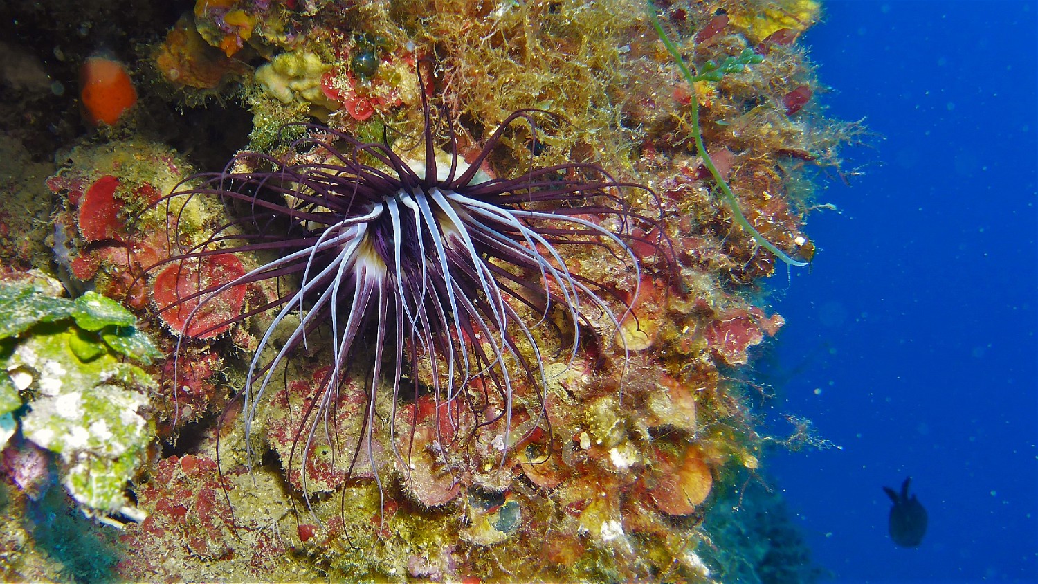 P1020663