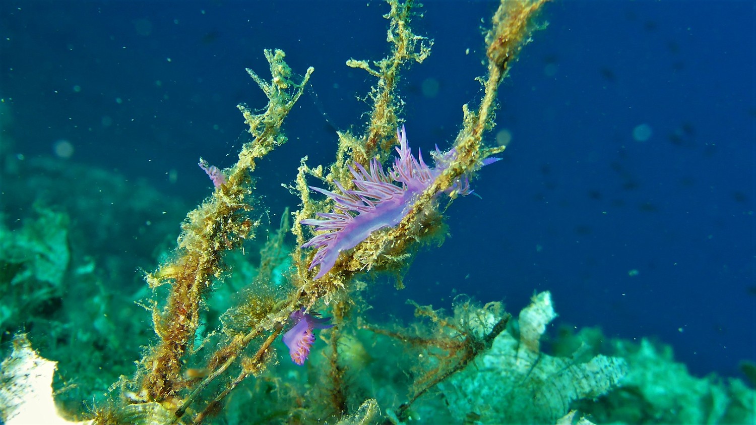 P1020688