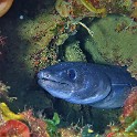 P1020408