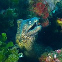 P1020416