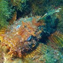 P1020449