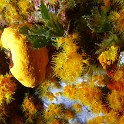 P1020480