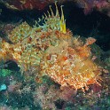 P1020541