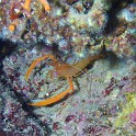 P1020549