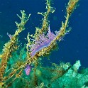 P1020688