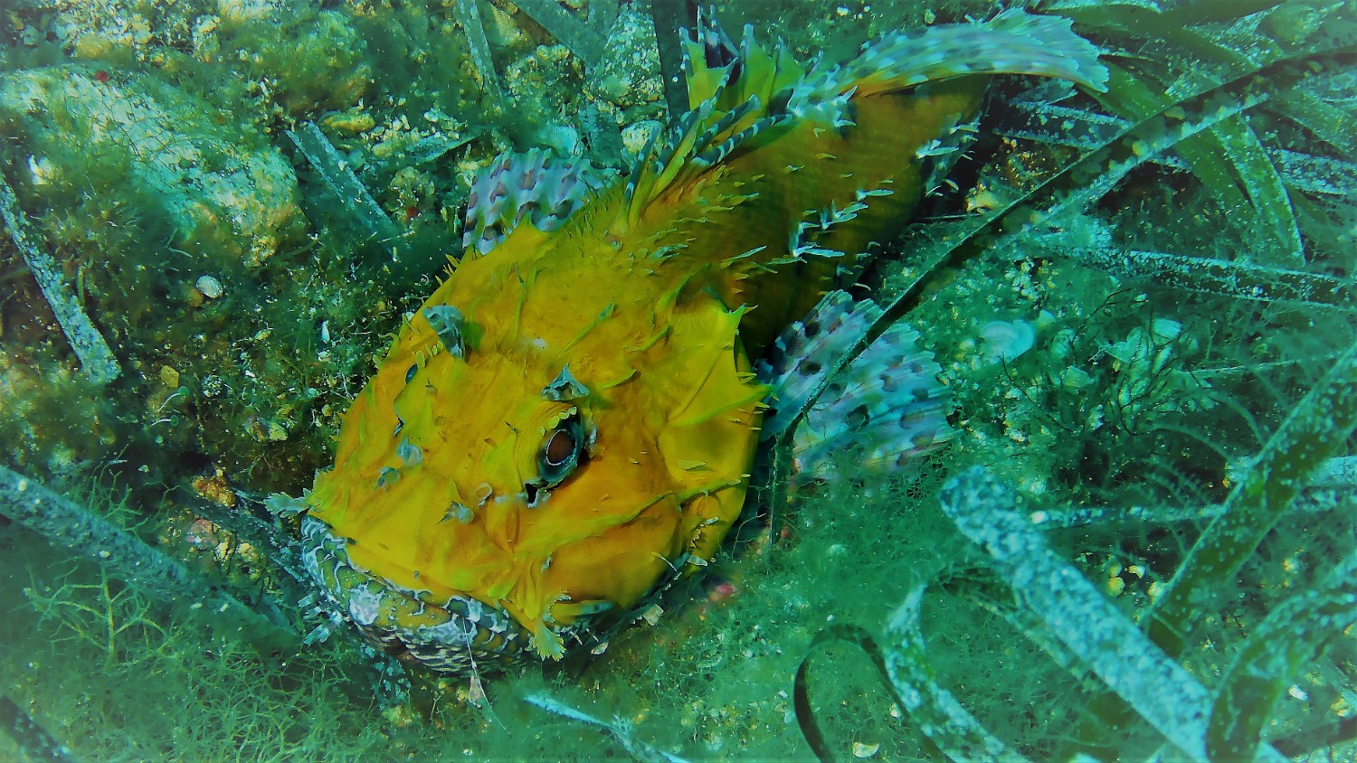 P1010962