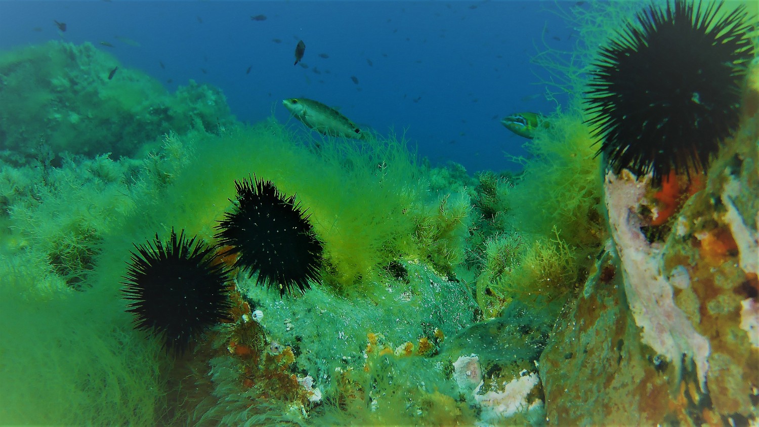 P1020003