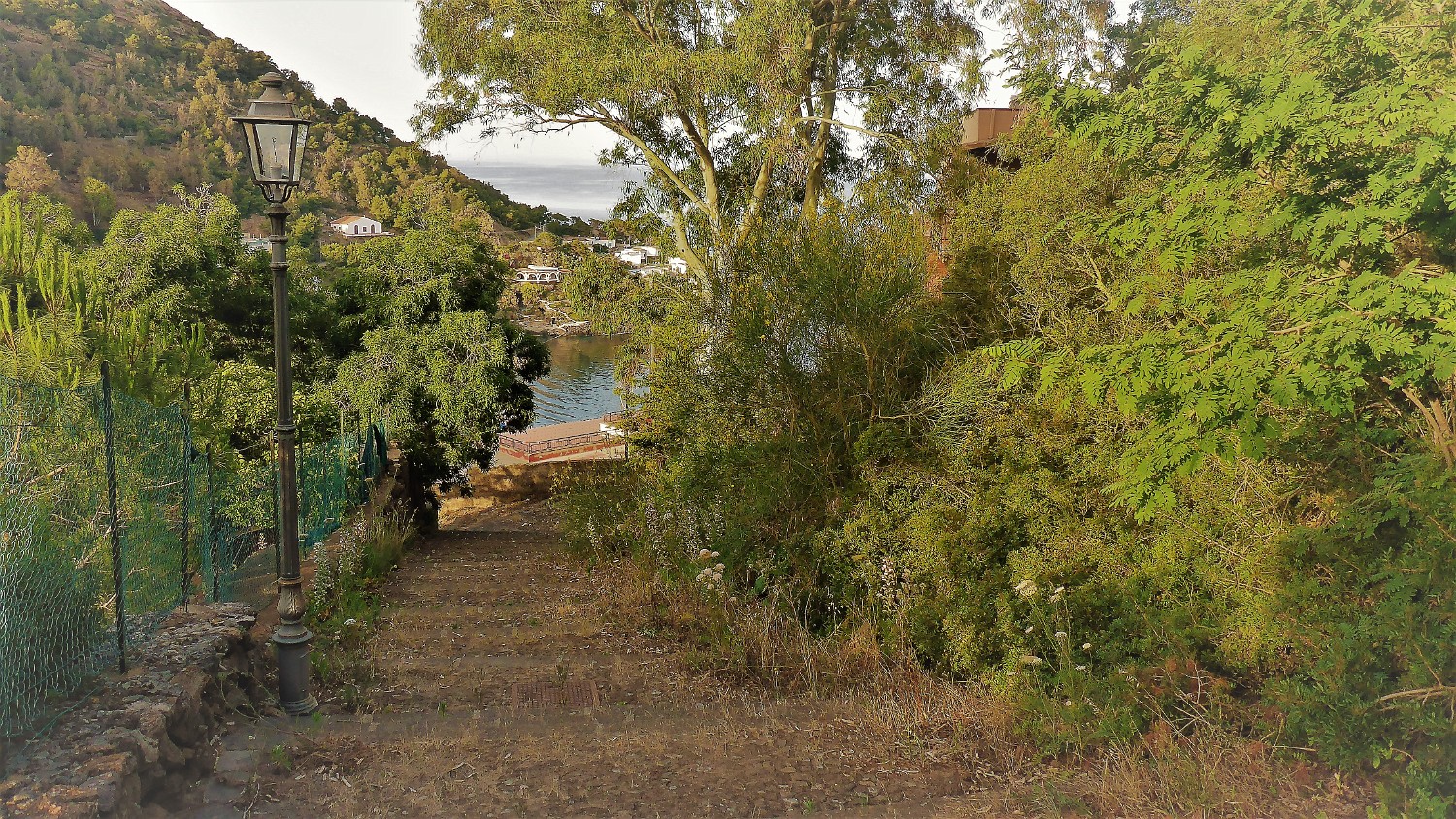 P1020024