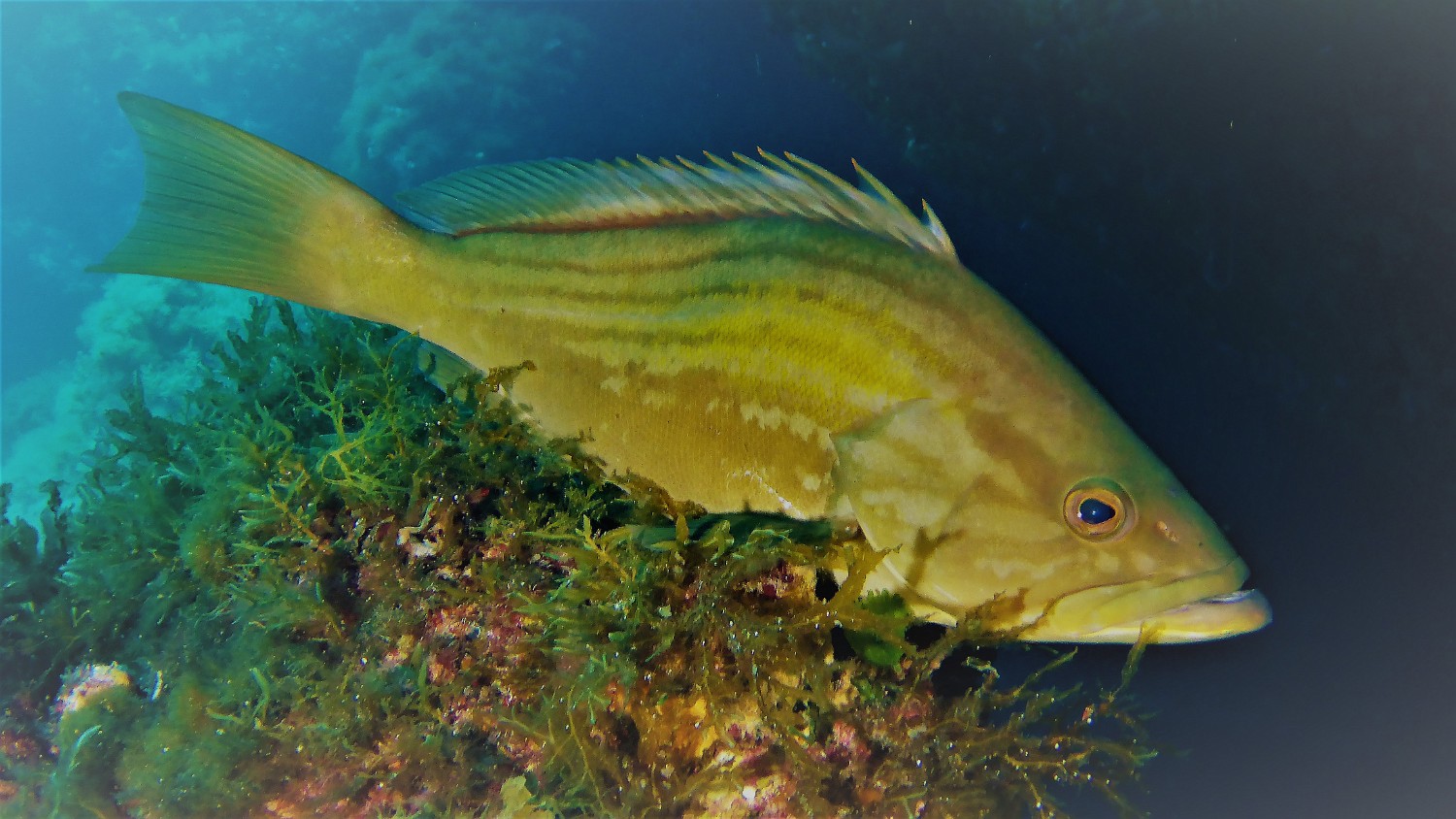 P1020046