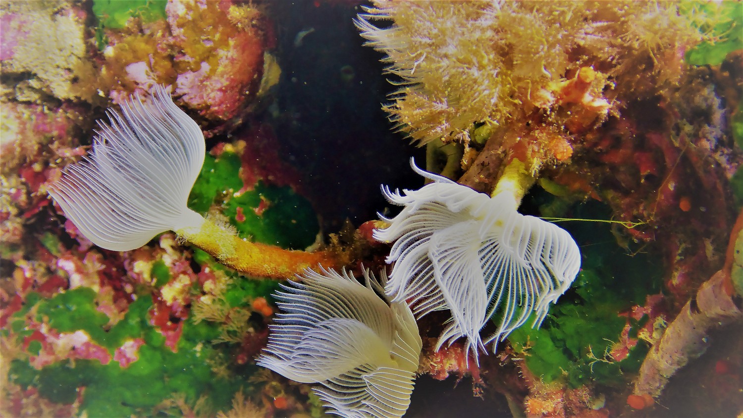 P1020121