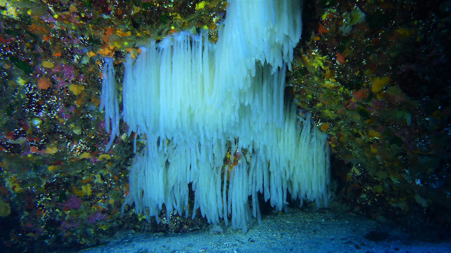 P1020202