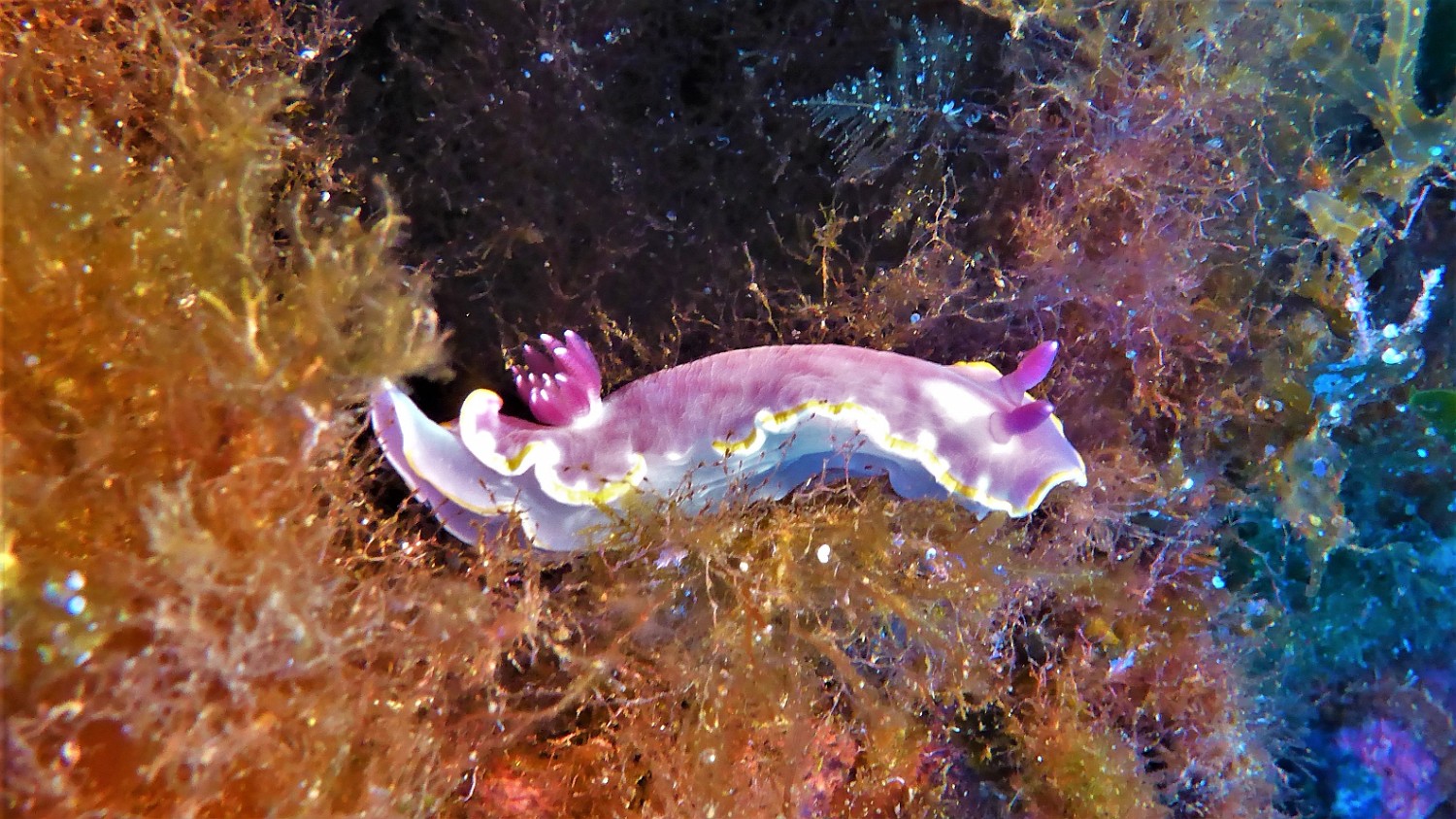 P1020264