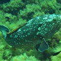 IMG 0391