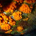 P1010994