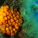P1010998