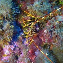 P1020106