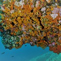P1020211