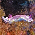 P1020264