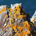 IMG 5911