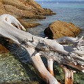 IMG 6138 1