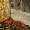 IMG 6504