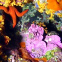 P1040027 v1