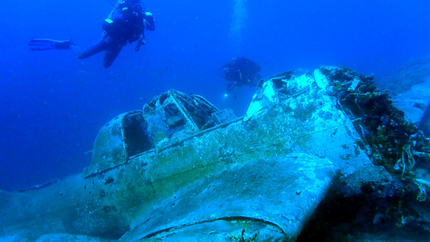 P1040356 1