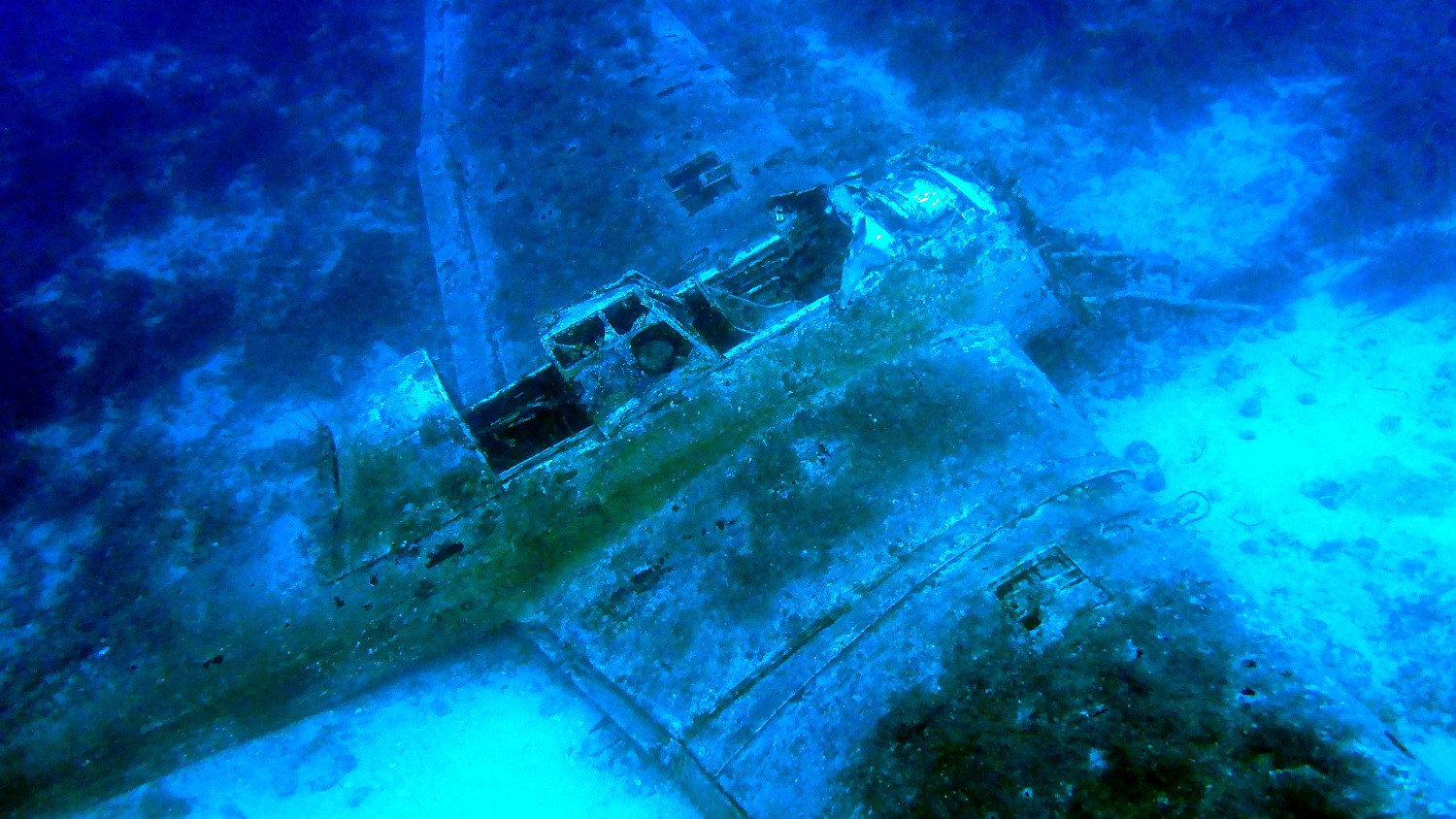 P1040369 1