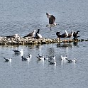 IMG 7014
