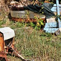 IMG 7121