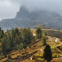 IMG 7354