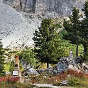 IMG 7372