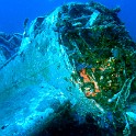 P1040352 1