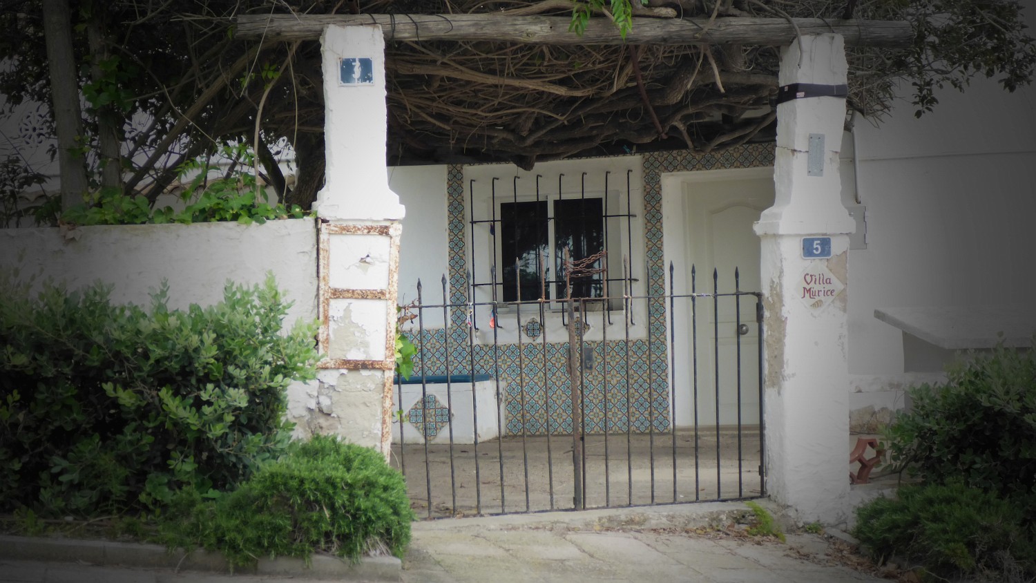 P1040097