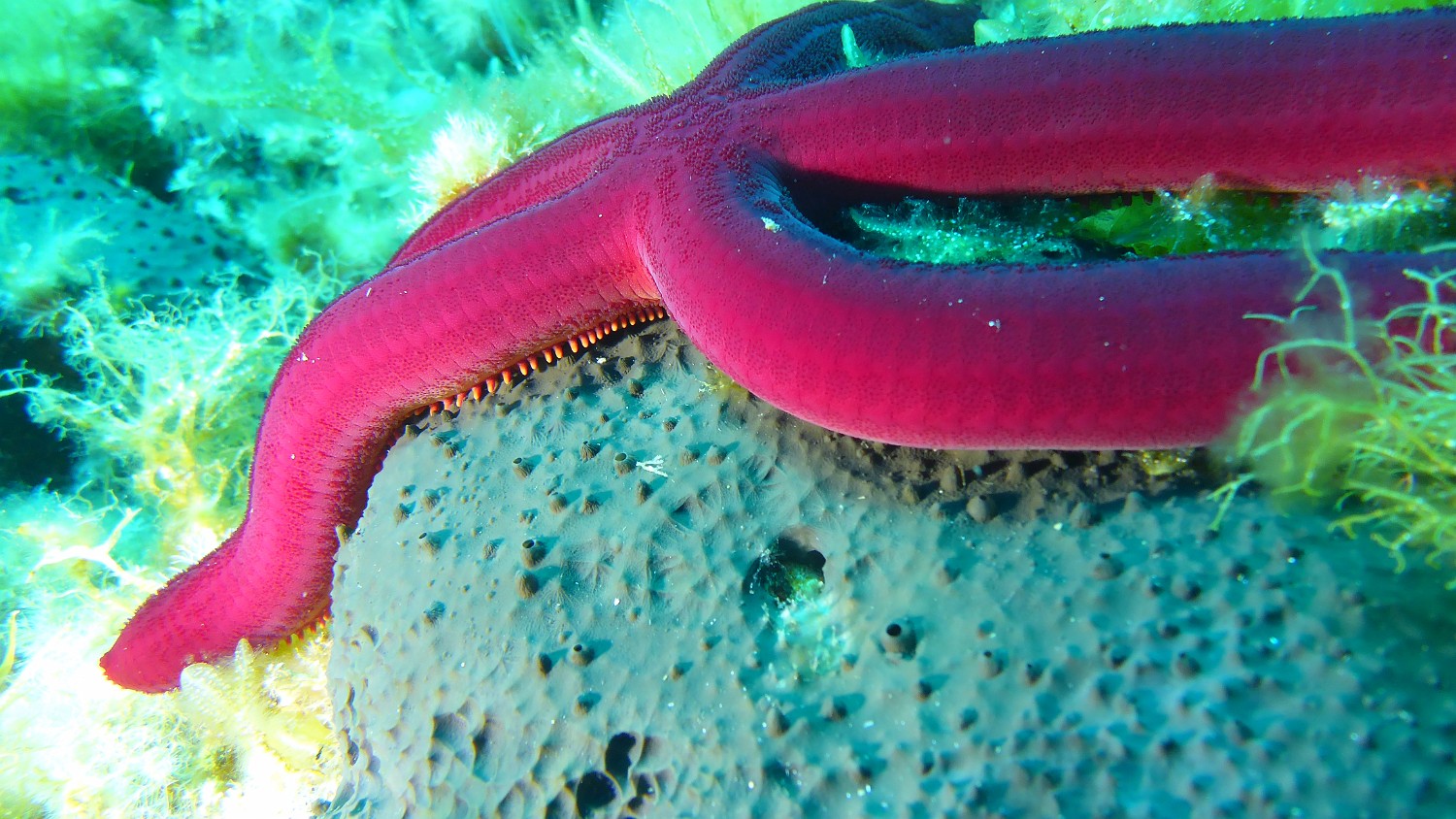 P1040213