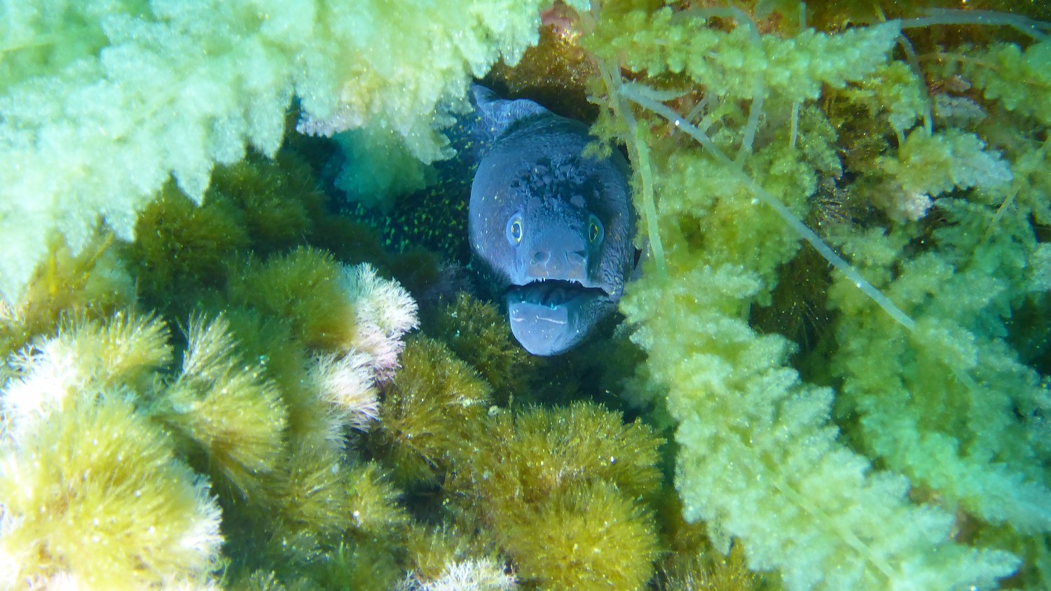 P1040231